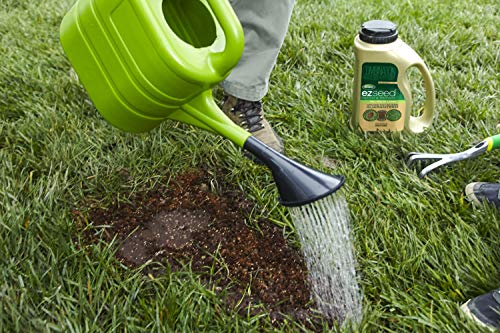 Scotts EZ Seed Patch & Repair Tall Fescue Lawns 10 lb. B1626