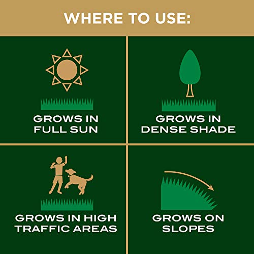 Scotts EZ Seed Patch & Repair Tall Fescue Lawns 10 lb. B1626