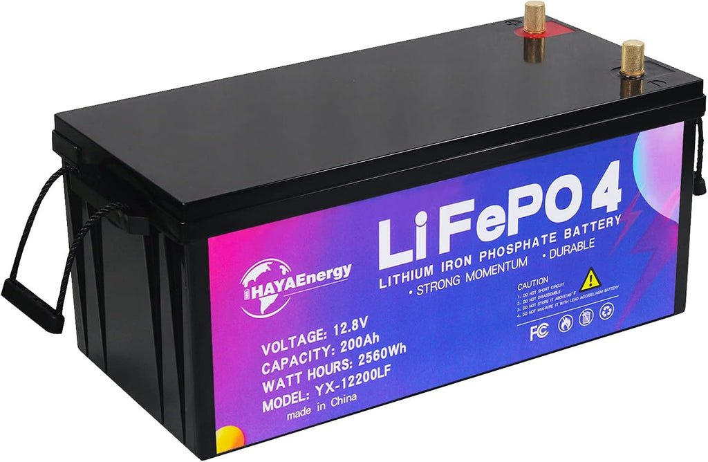 12V 100Ah LiFePO4 Battery with 100A BMS for RV, Solar, Marine M8446