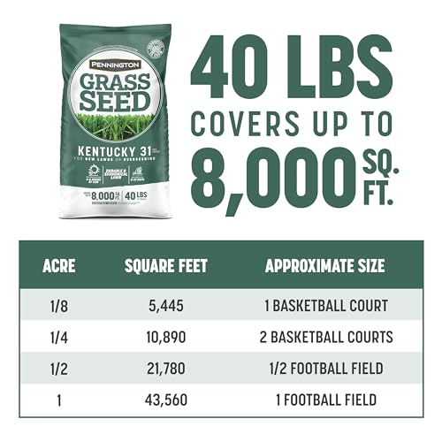 Pennington Kentucky 31 Tall Fescue Penkoted Grass Seed 40 lbs V4063