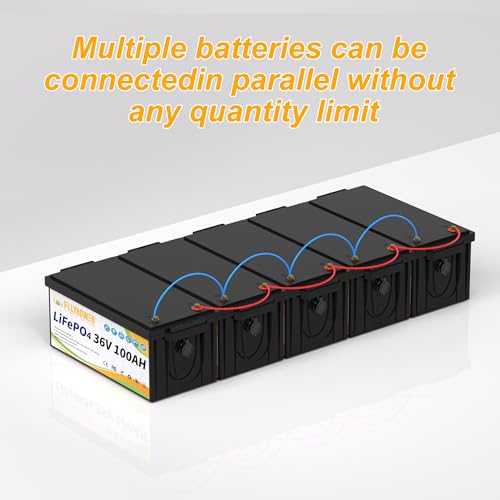 FLLYROWER 12V 100Ah LiFePO4 Battery with BMS for Marine RV Solar I833
