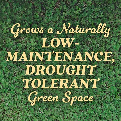 Scotts Tall Fescue Blend Grass Seed with Fertilizer and Soil Improver, 8 lbs A926