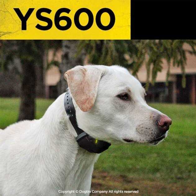 Dogtra YS600 No Bark Collar W4050