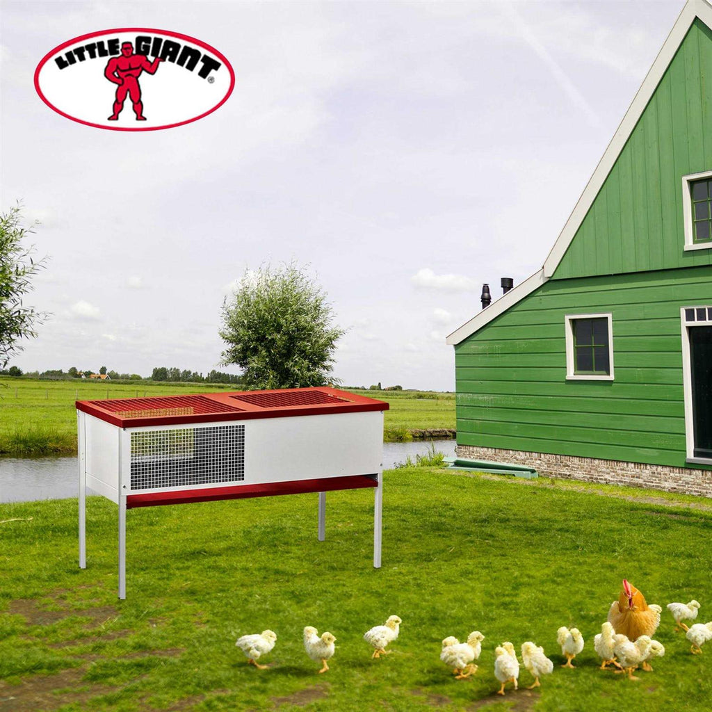 Little Giant Galvanized Chick Brooder Box D486