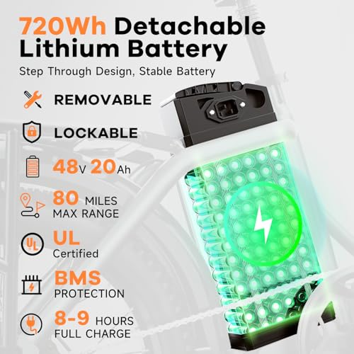 Folding Electric Bike 1000W 48V 20AH Removable Battery 20" Fat Tire for Adults C847123
