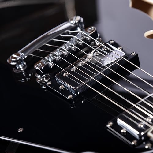 Redid Semi-Hollow Body Electric Guitar RD-100 with F-Hole, Maple Neck, Humbucker Pickups G2932