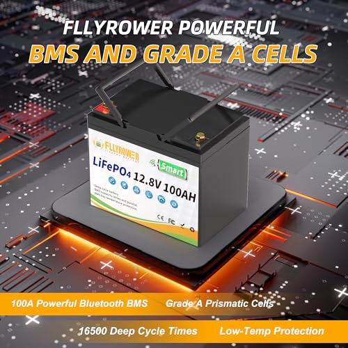 FLLYROWER 12V 100Ah LiFePO4 Battery with BMS for Marine RV Solar I833