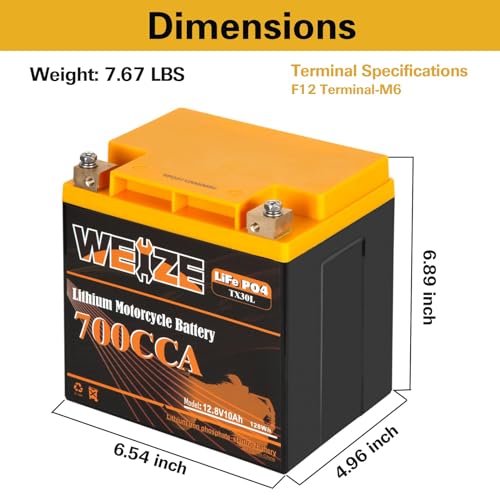 Weize Lithium YTX30L-BS 12V 10AH LiFePO4 Motorcycle Battery with Smart BMS E599001