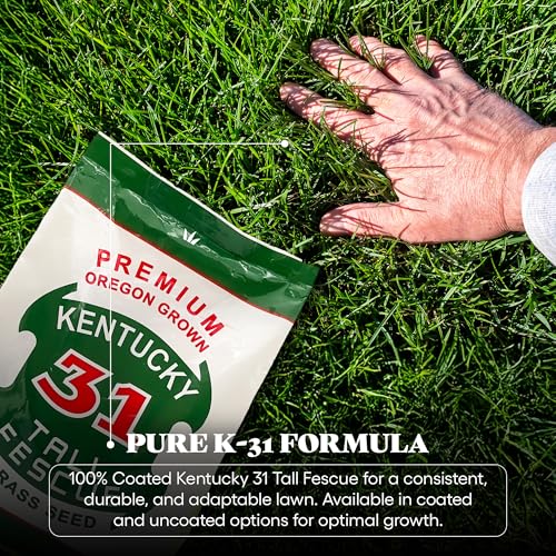 X-Seed Oregon Grown Kentucky 31 Tall Fescue Grass Seed for Sun and Shade, 5 lb Bag F733