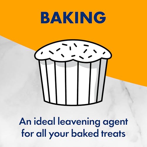 Arm & Hammer Baking Soda, 1 Pound (Pack of 12) W8601