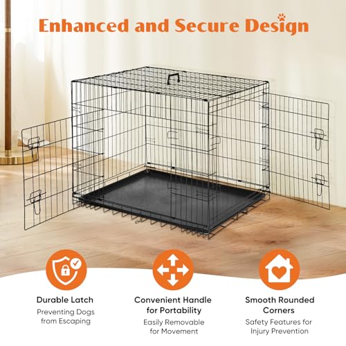 Sweetcrispy Large Dog Crate with Divider Panel, 36 Inch Double Door Folding Metal Wire Cage L276890