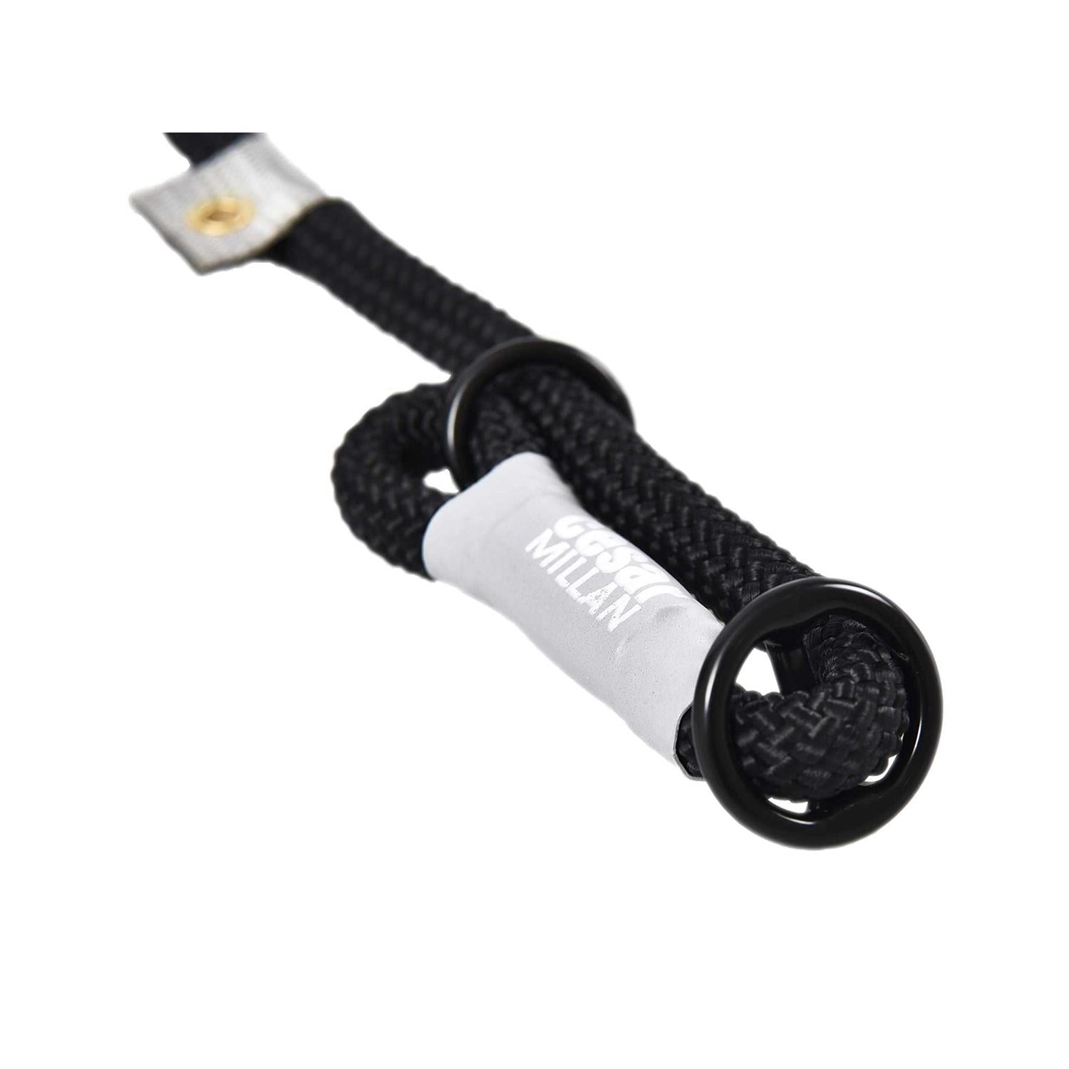 Cesar Millan 2-in-1 Slip Lead Dog Training Leash A889639