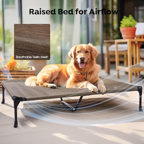 Veehoo Elevated Dog Bed with Removable Waterproof Bolster Cushion, Breathable Mesh, Indoor Outdoor, 42x30 inches, Beige U875430