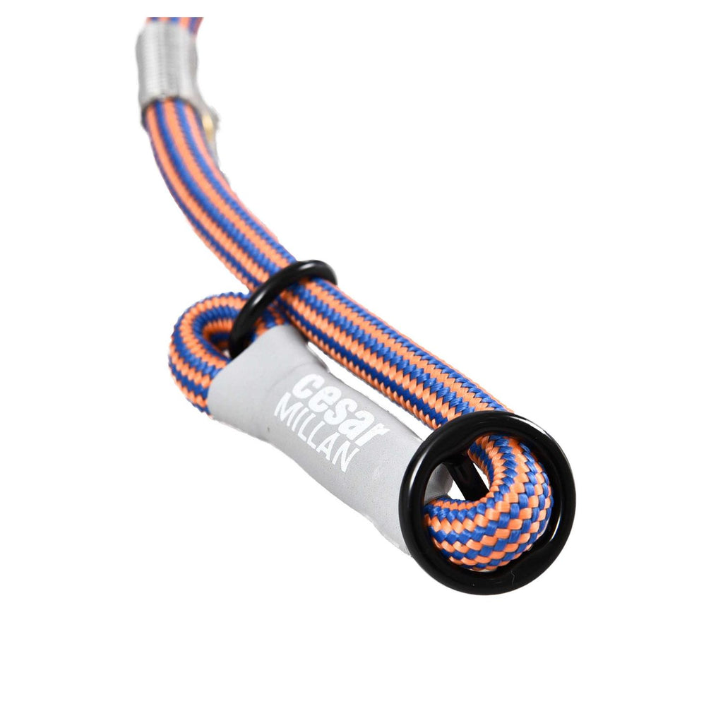 Cesar Millan 2-in-1 Slip Lead Dog Training Leash A889639