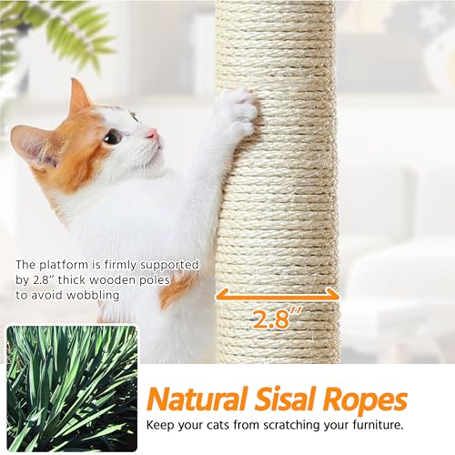 Yaheetech Multi-Level Cat Tree with Scratching Posts, Plush Perches and Condo, Dark Gray and White V70137