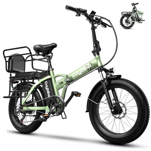 Folding Electric Bike 1000W 48V 20AH Removable Battery 20" Fat Tire for Adults C847123
