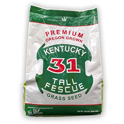 X-Seed Oregon Grown Kentucky 31 Tall Fescue Grass Seed for Sun and Shade, 5 lb Bag F733