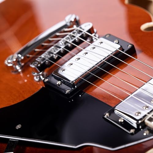 Redid Semi-Hollow Body Electric Guitar RD-100 with F-Hole, Maple Neck, Humbucker Pickups G2932