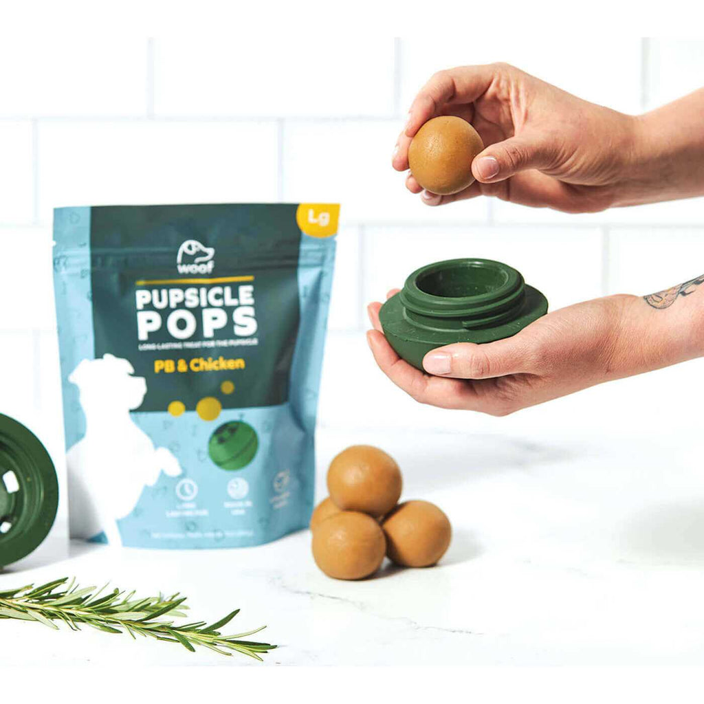 Woof Pupsicle Starter Pack Treat Z1619