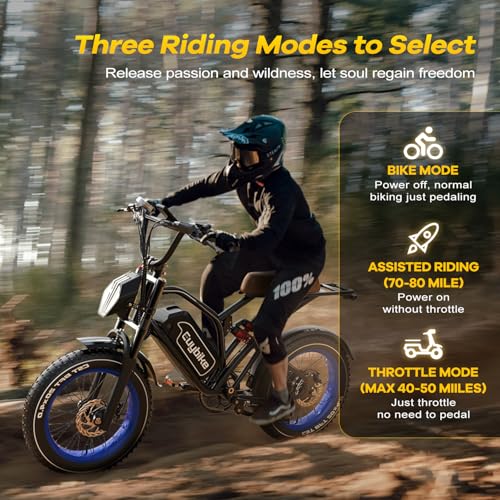Electric Bike for Adults, 2000W Motor, 48V 25AH Battery, 20" Fat Tires S65549