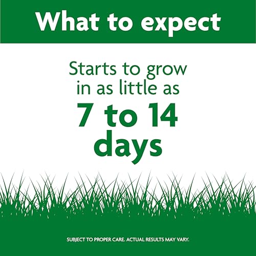 Scotts Turf Builder Tall Fescue Grass Seed Mix with Fertilizer, 5.6 lbs Z3696