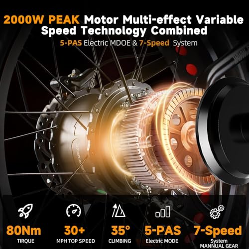 Electric Bike for Adults, 2000W Motor, 48V 25AH Battery, 20" Fat Tires S65549