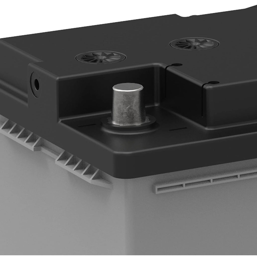 EverStart Platinum AGM Automotive Battery Group Size H8 Q7285