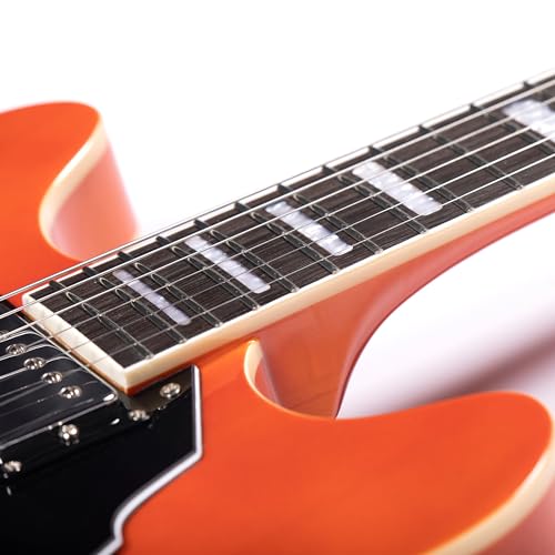 Redid Semi-Hollow Body Electric Guitar RD-100 with F-Hole, Maple Neck, Humbucker Pickups G2932