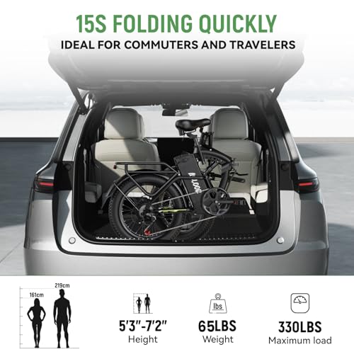 Folding Electric Bike 1000W 48V 20AH Removable Battery 20" Fat Tire for Adults C847123