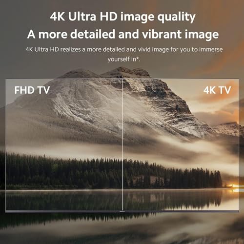 Xiaomi Mi Box S 4K HDR Android TV Streaming Media Player with Google Assistant Remote P17909