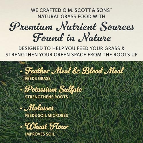Scotts Tall Fescue Blend Grass Seed with Fertilizer and Soil Improver, 8 lbs A926