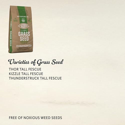 Scotts Tall Fescue Blend Grass Seed with Fertilizer and Soil Improver, 8 lbs A926