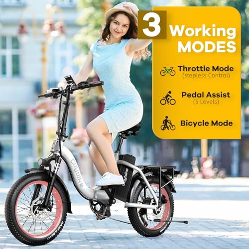 Folding Electric Bike 1000W 48V 20AH Removable Battery 20" Fat Tire for Adults C847123