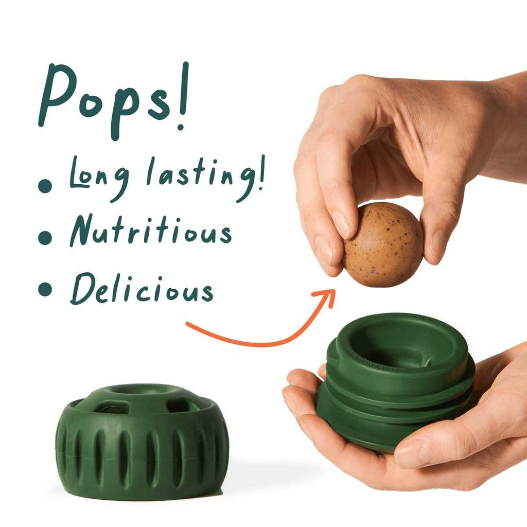 Woof Pupsicle Starter Pack Treat Z1619