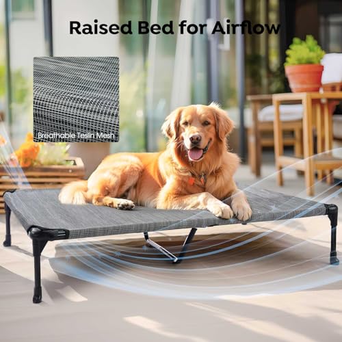 Veehoo Elevated Dog Bed with Removable Waterproof Bolster Cushion, Breathable Mesh, Indoor Outdoor, 42x30 inches, Beige U875430