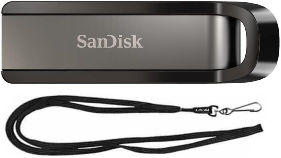 SanDisk 256GB Extreme USB 3.2 Flash Drive 400MB/s for Computer, PC, Laptop (SDCZ810-256G) Bundle with (1) GoRAM Black Lanyard (256GB, 1 Pack) Pack of 2