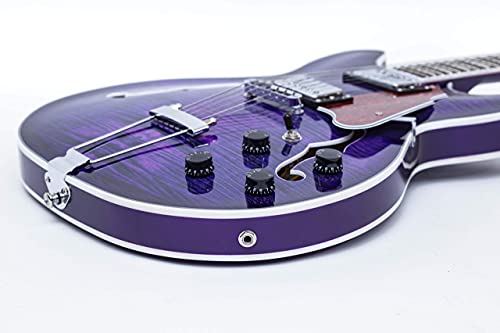 GROTE Jazz Electric Guitar Semi-Hollow Body with Gig Bag, Black Y60488