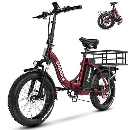 Folding Electric Bike 1000W 48V 20AH Removable Battery 20" Fat Tire for Adults C847123