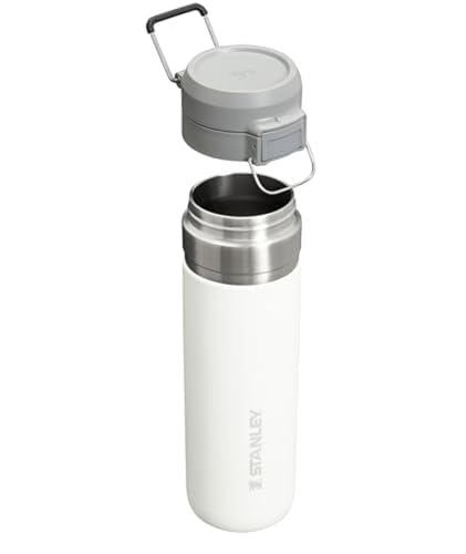 Stanley Quick Flip GO Water Bottle 24 oz Insulated Stainless Steel M7217