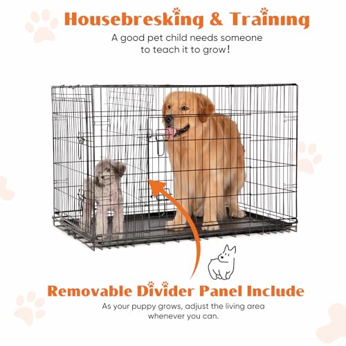 Sweetcrispy Large Dog Crate with Divider Panel, 36 Inch Double Door Folding Metal Wire Cage L276890