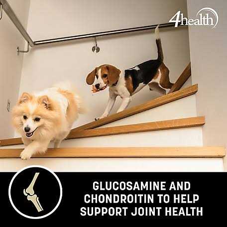 4health Adult Chicken and Rice Formula Dry Dog Food P36151