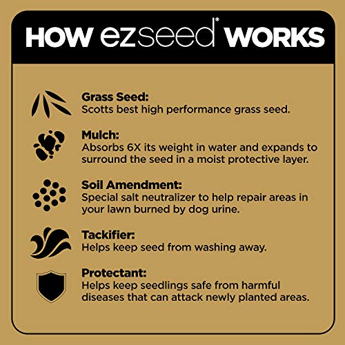 Scotts EZ Seed Patch & Repair Tall Fescue Lawns 10 lb. B1626