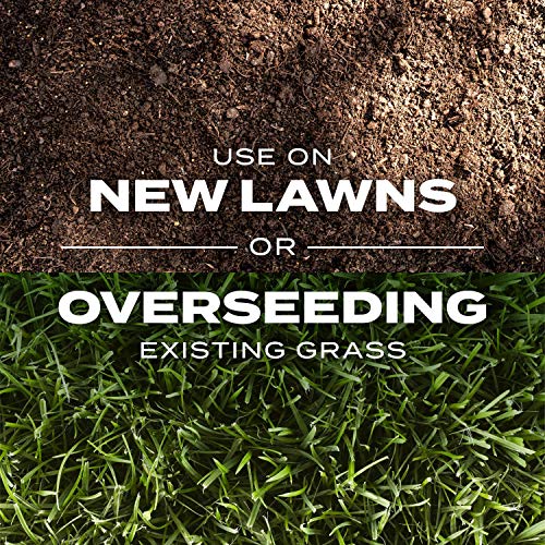 Scotts Turf Builder Rapid Grass Sun and Shade Mix, Grass Seed and Fertilizer, 16 lbs. V91162