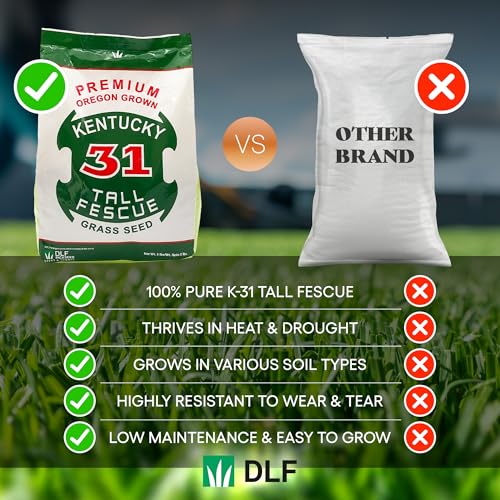 X-Seed Oregon Grown Kentucky 31 Tall Fescue Grass Seed for Sun and Shade, 5 lb Bag F733