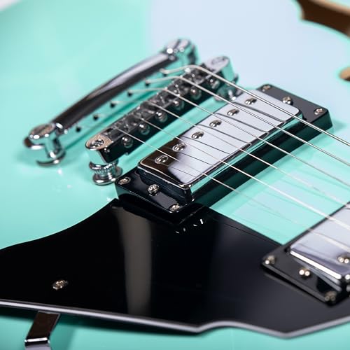 Redid Semi-Hollow Body Electric Guitar RD-100 with F-Hole, Maple Neck, Humbucker Pickups G2932