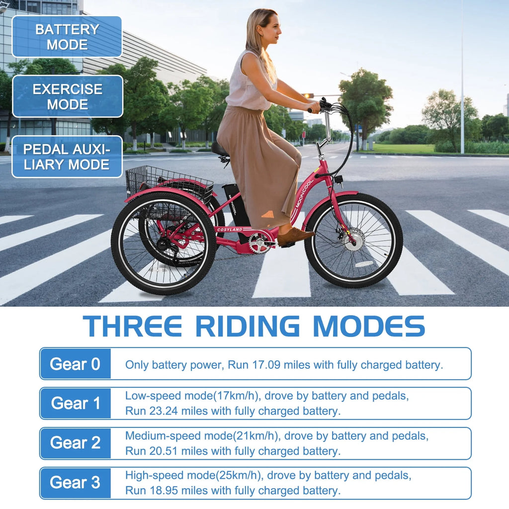 Lilypelle Adult Electric Tricycle 3-Wheel Bike for Seniors E1378