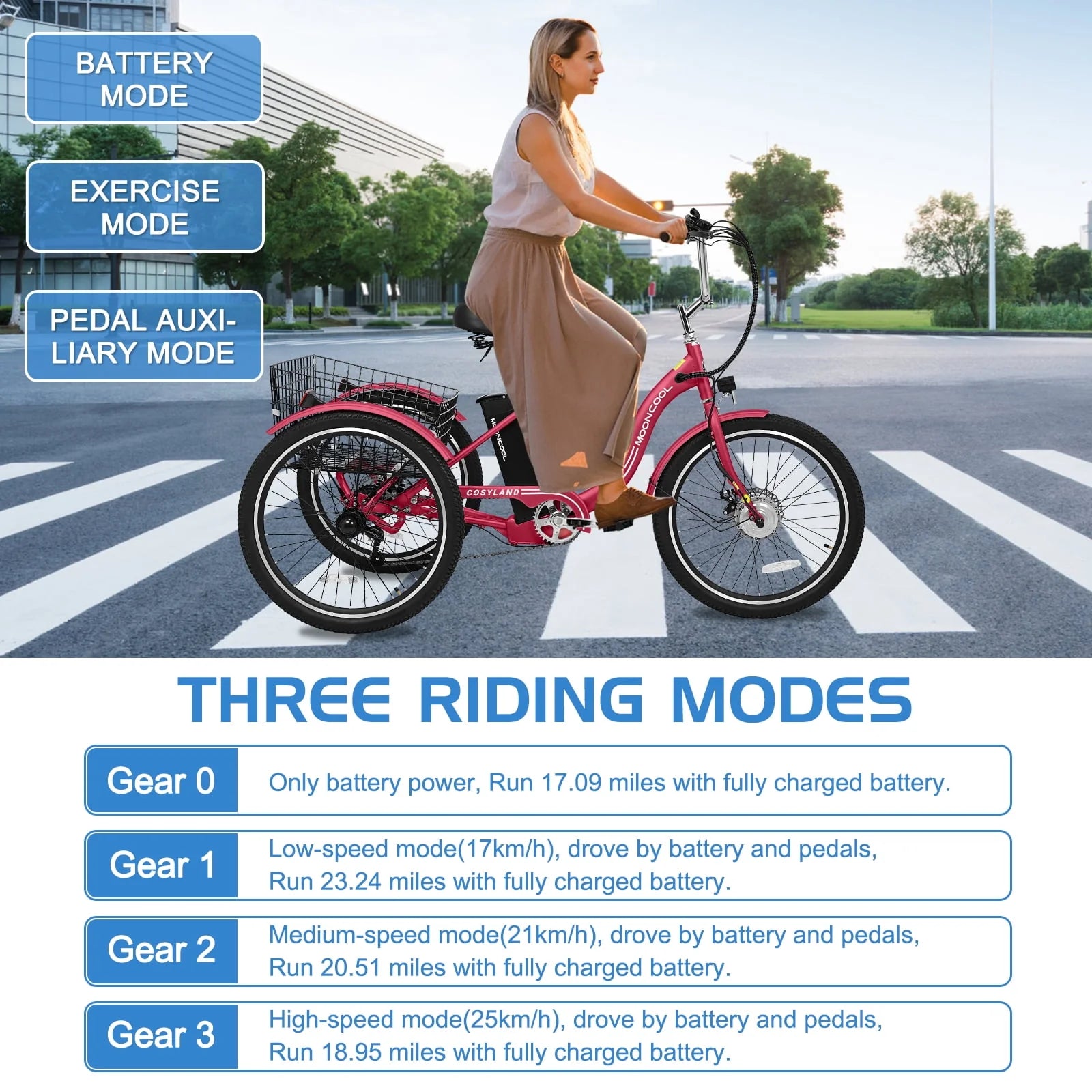 Lilypelle Adult Electric Tricycle 3-Wheel Bike for Seniors E1378