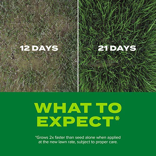 Scotts Turf Builder Rapid Grass Sun and Shade Mix, Grass Seed and Fertilizer, 16 lbs. V91162