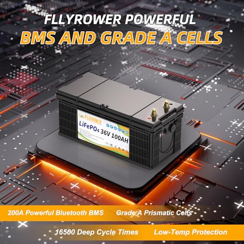 FLLYROWER 12V 100Ah LiFePO4 Battery with BMS for Marine RV Solar I833