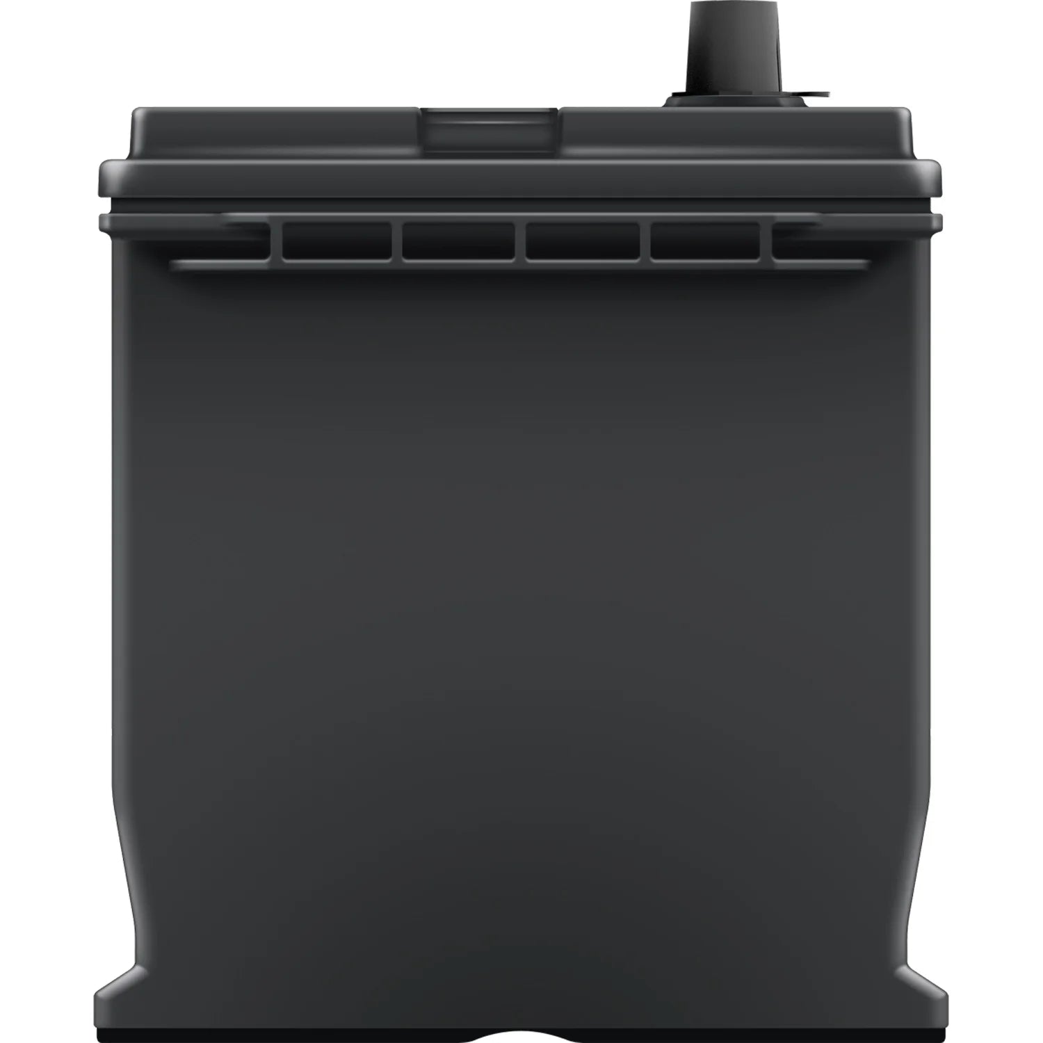 EverStart Maxx Lead Acid Automotive Battery Group Size 124R 12V 700 CCA M7057